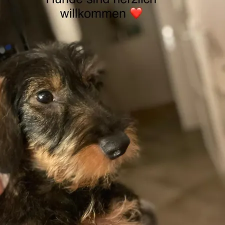 Gemütliches Sylter Strandstudio Apartment *