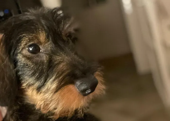 Gemuetliches Sylter Strandstudio Appartement *